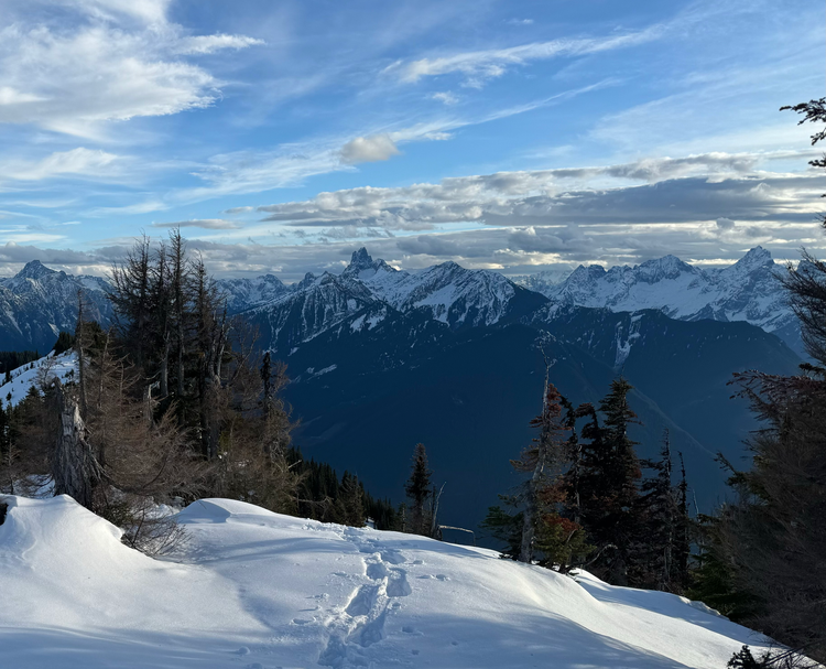 Mt. Laughington