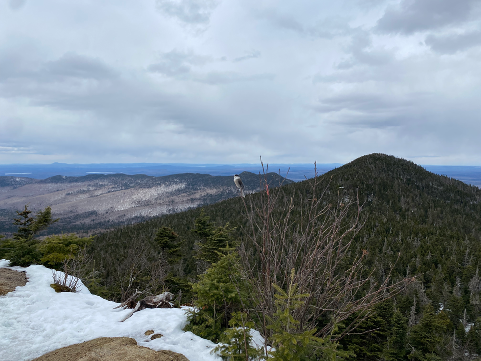 Mont Mégantic