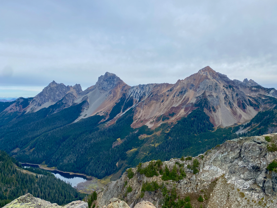 Yellow Aster Butte